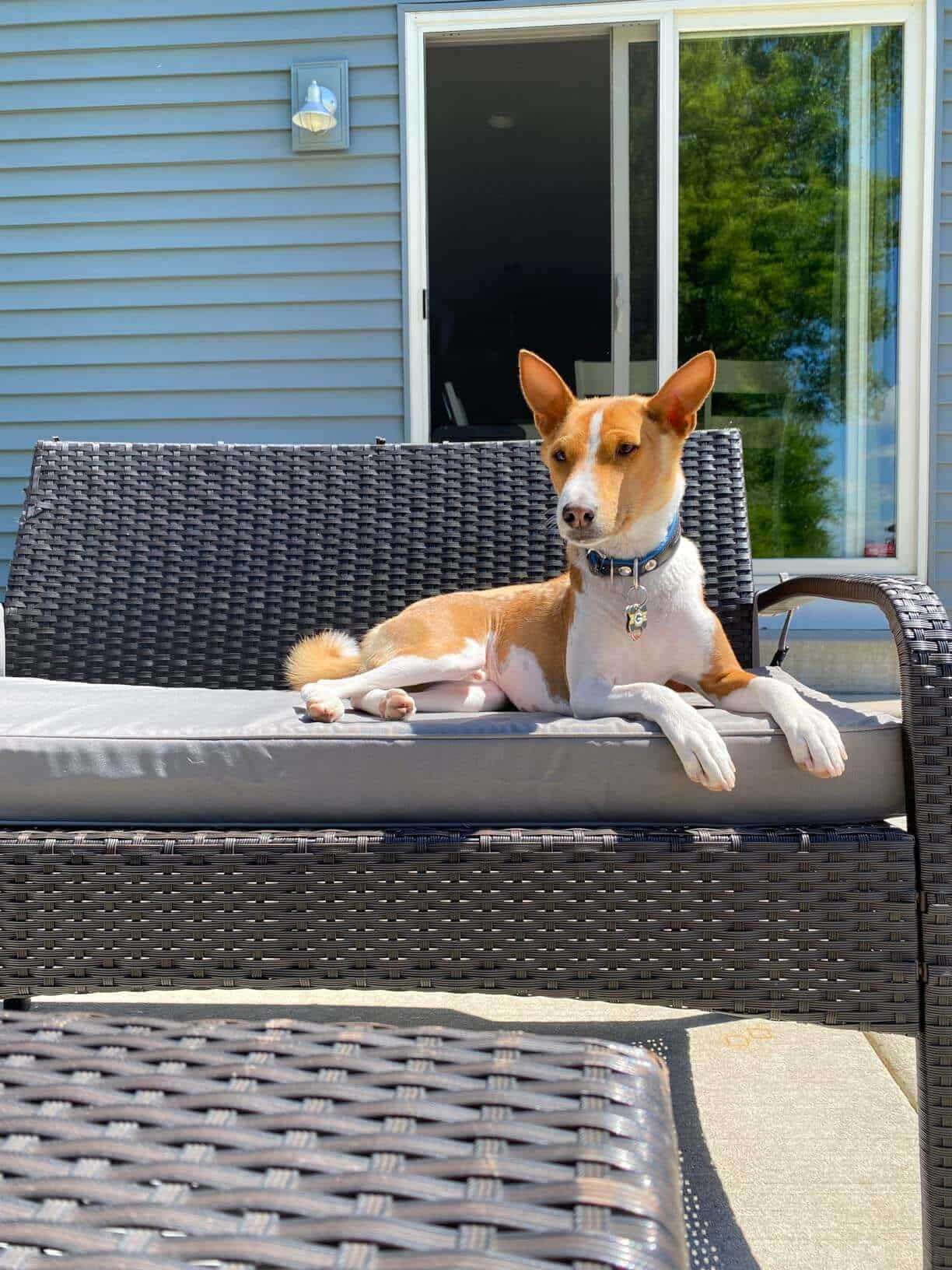 Favoyard grey outdoor patio chair 